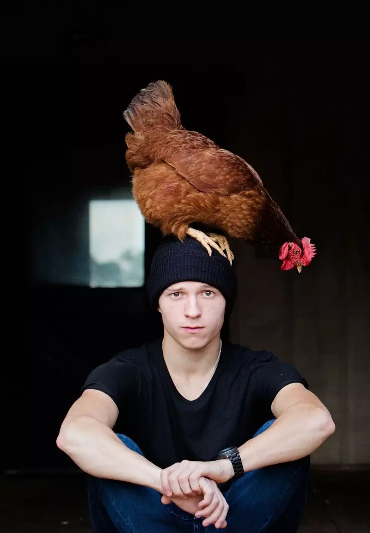 Tom Holland üç tavuk başladı, çünkü yumurta mağazalarda sona erdi 102820_1