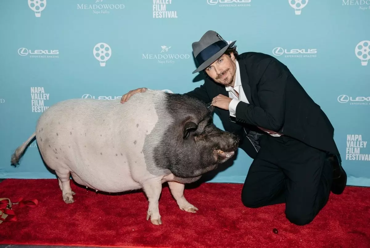 Foto: Nikki Reed und Yen Somerhalder erhielten einen Preis für den Tierschutz