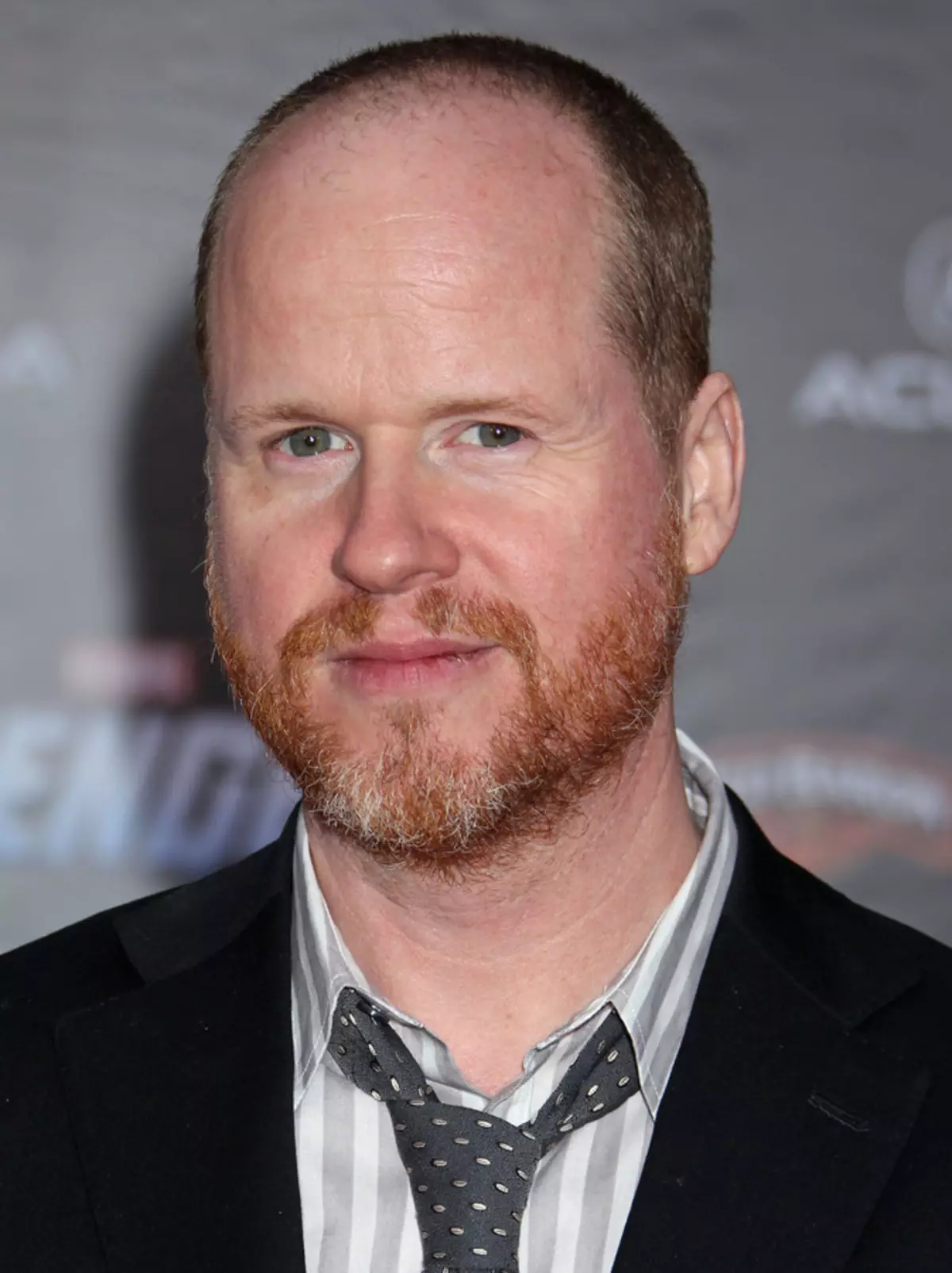 Joss Udon removerá os "Avengers 2"