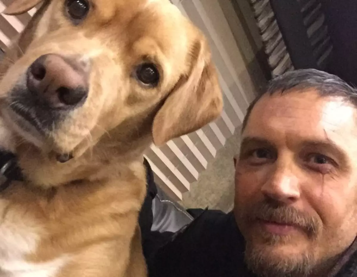 Tom Hardy a sauvé des chiots sans abri