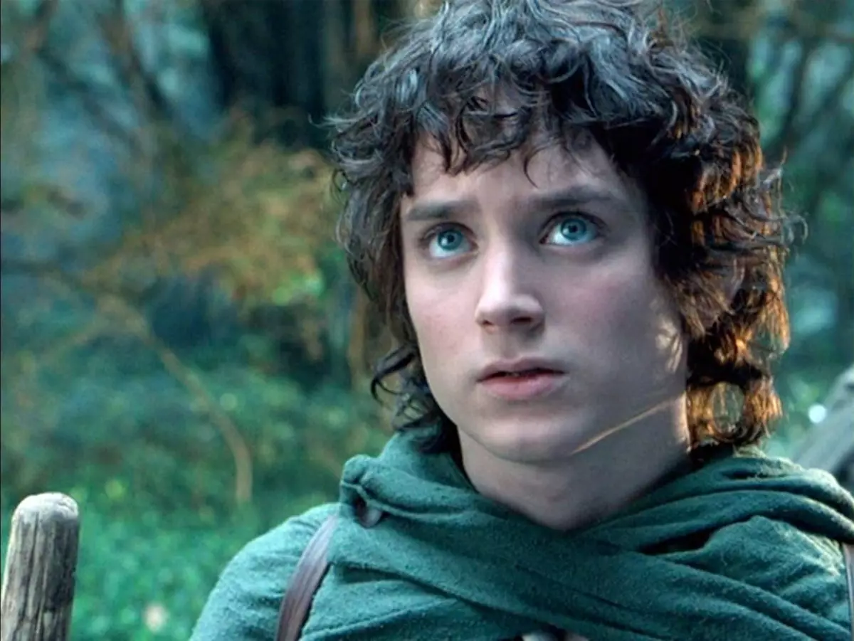 "Some kind of madness": Elija Wood commented on the shooting of the series on "Lord of the Rings"