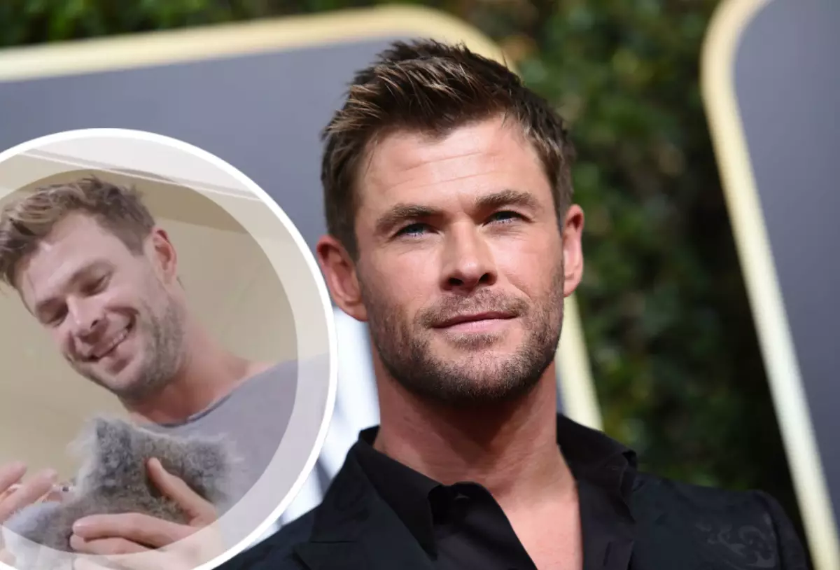 Príliš roztomilý! Chris Hemsworth Fed Kid Koala, obete požiarov