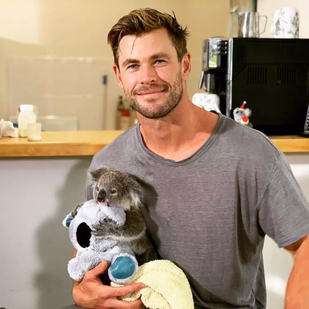 Příliš roztomilé! Chris Hemsworth Fed Kid Koala, oběti požárů 127018_1