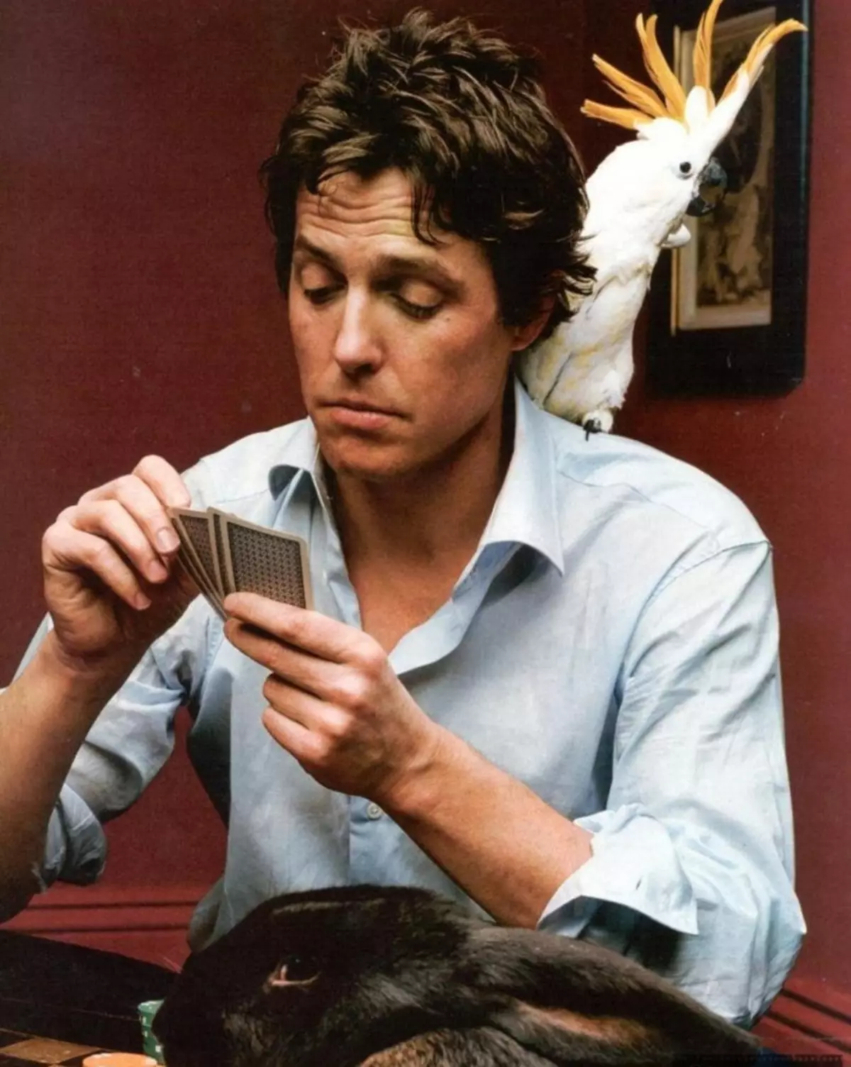 Hugh Grant learns who was in the past life