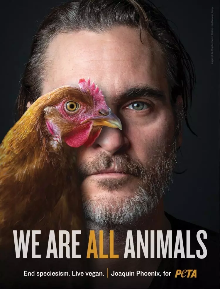 닭고기의 눈을 통해 세상 : Hoakin Phoenix는 동물의 권리를 보호하기 위해 광고에 출연했습니다. 18857_1