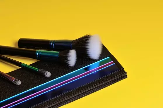 Beauty Secrets: Mac Makeup Brushes from Limited Collection 22463_1