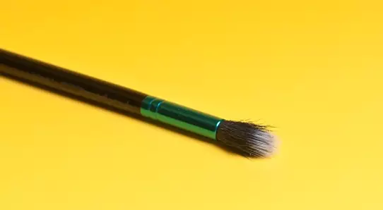 Siri za uzuri: machungwa makeup brushes kutoka mkusanyiko mdogo. 22463_5