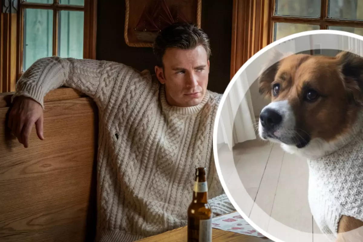 Mile kommer inte upp med: Chris Evans klädde upp sin hund i en tröja från filmen "Få knivar"