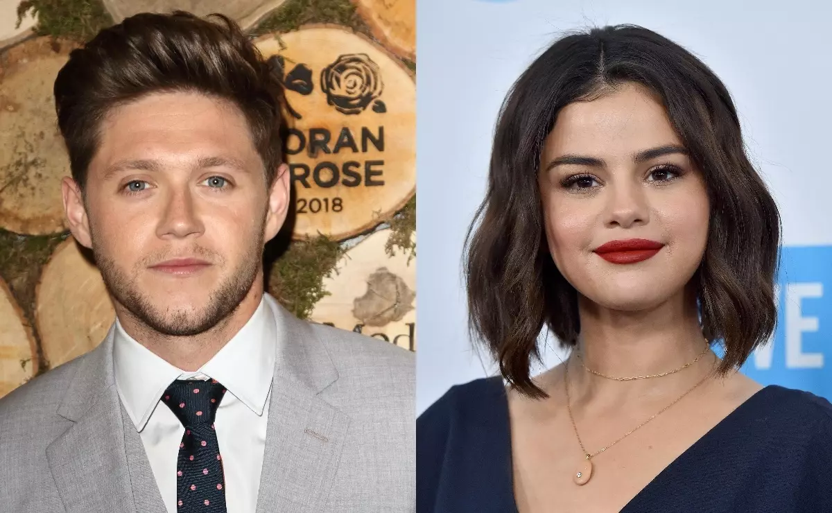 Niall Horan värmdes rykten om romanen med Selena Gomez med hjälp av selfie