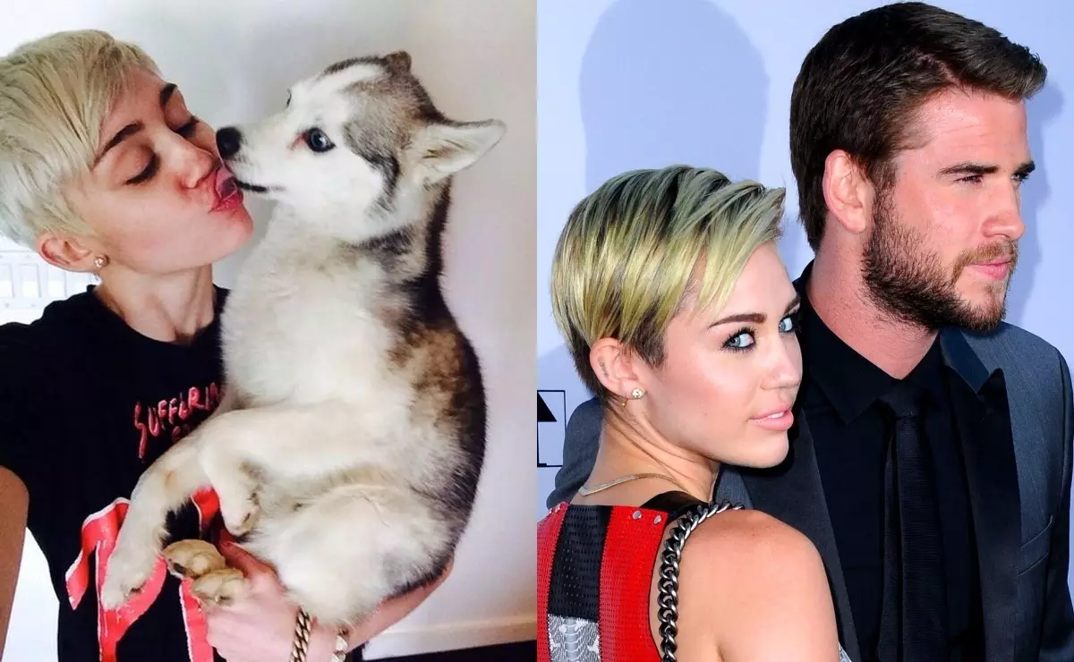 When in personal life everything is bad: Miley Cyrus confessed to love animals