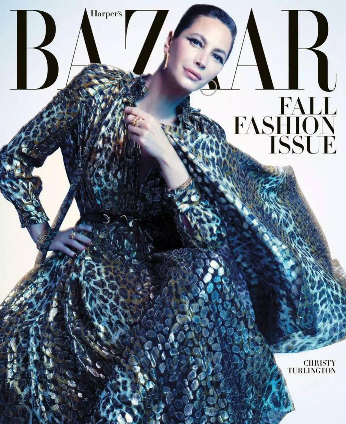 Zdjęcie: Unrecognizable Celine Dion na bazaru Harper's Cover 31062_6