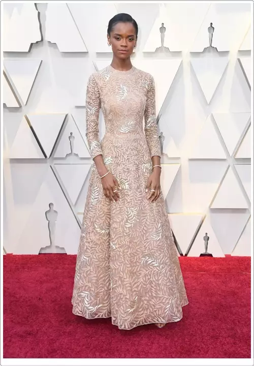 Picha: nyota zote kwenye carpet nyekundu ya sherehe ya OSCAR 2019 31202_20