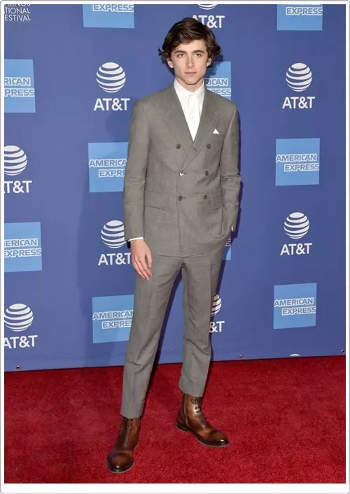 Модерен момче: Тимоти Шалам ја освои славата на најсветлиот холивудски актер 31311_3