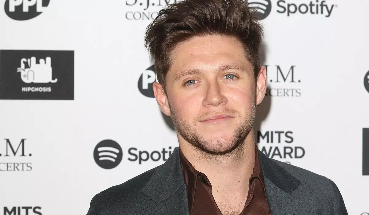 Niall Horan adamva mkaidi mkangano