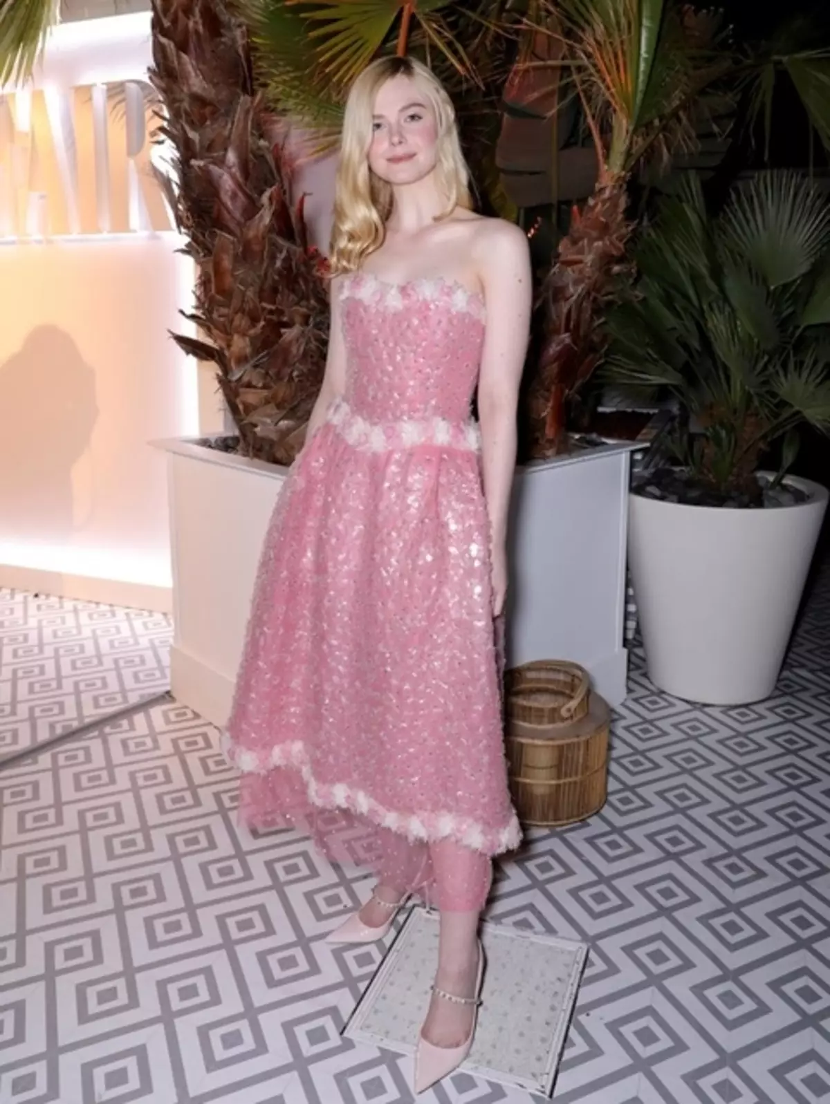 Cannes-2019: Margo Robbie, Marion Coilar, El Fanning ir kitos žvaigždės Chanel vakarienėje 41472_14