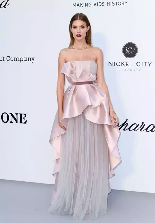 I-Cannes-2019: UNina Dobrev, Kendall Jenner, Mill Yovovich kunye neenkwenkwezi kwezinye iinkwenkwezi kwi-Amfar Gala 41476_21