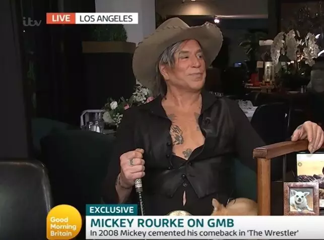 Mickey Rourke changed beyond recognition due to an unsuccessful plastic surgery