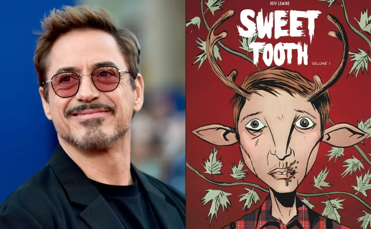 جب پطرس پارکر نے پختہ کیا: رابرٹ Downey Jr. لڑکے کو لڑکا کے بارے میں سلسلہ جلا دے گا