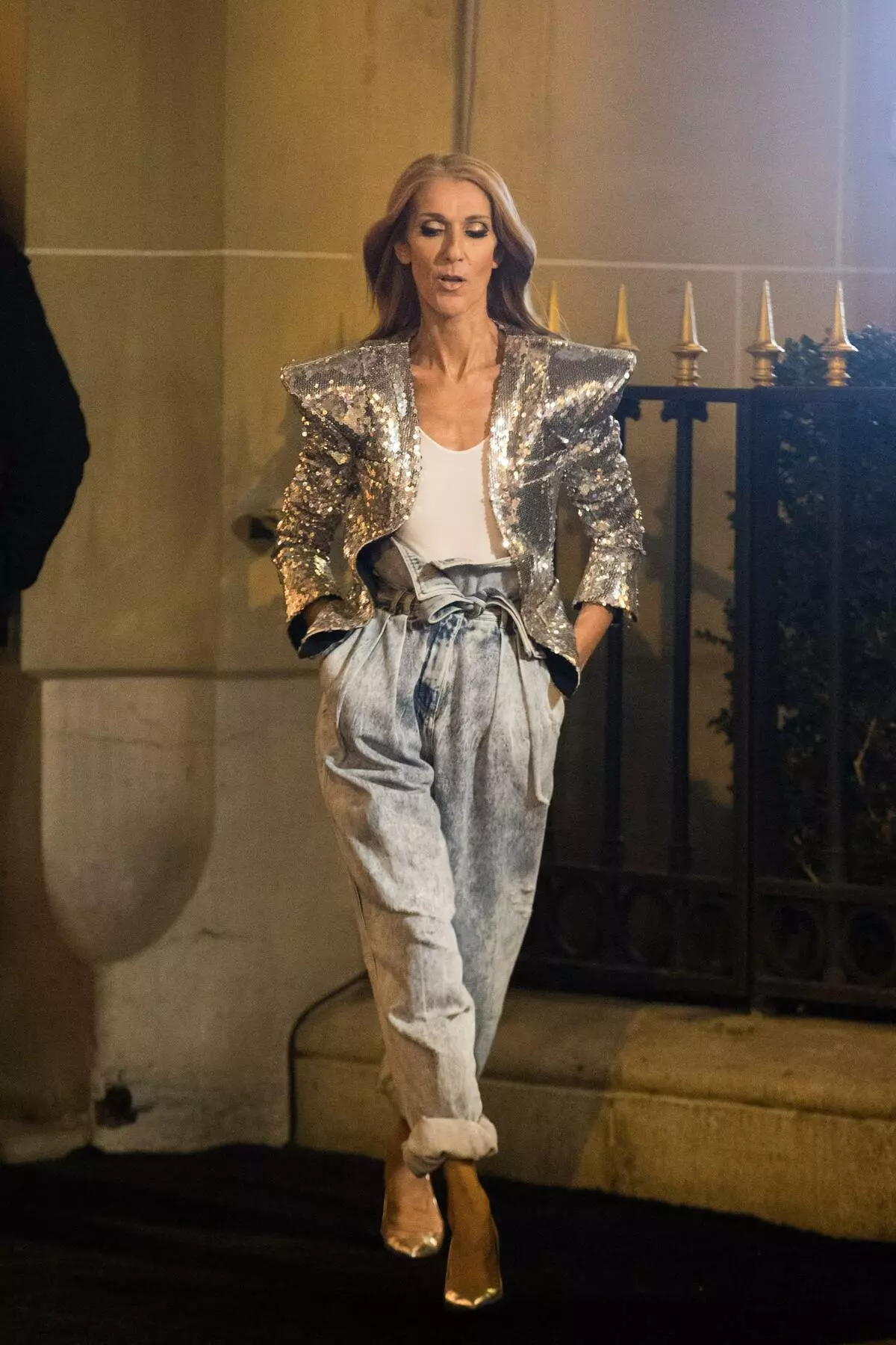 Celine Dion de 51 años se convirtió en la nueva cara de la marca L'Oréal y le explicó su hoodothoth 51379_3
