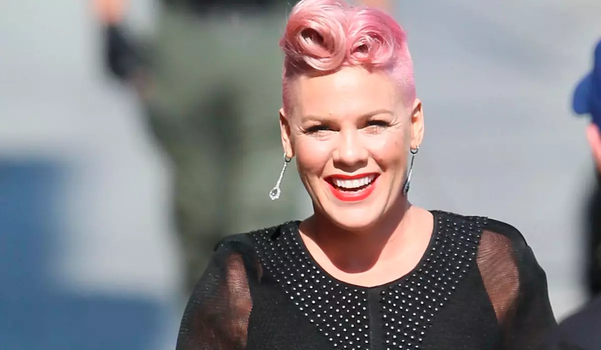 "Stubbornness Pays Off": Pink salvegera 15emîn a Wedding bi Carey Hart re pîroz kir