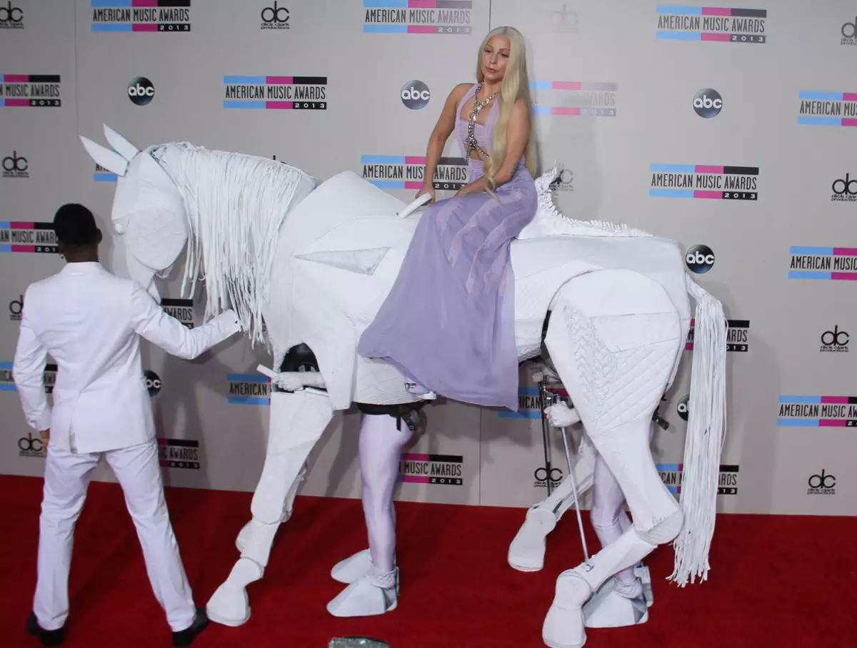 Ceremony American Music Awards 2013