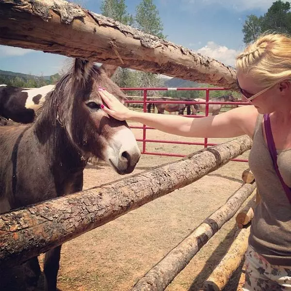 Žvaigždės Twitter: Miranda Kerr ant arklio, ir Miley Cyrus viduje tigro 75692_3