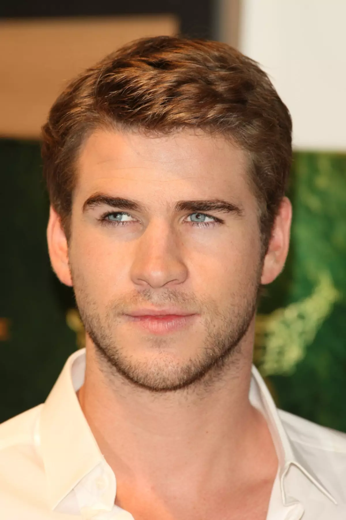 Liam Hemsworth je ideální pro roli Edward Snowden