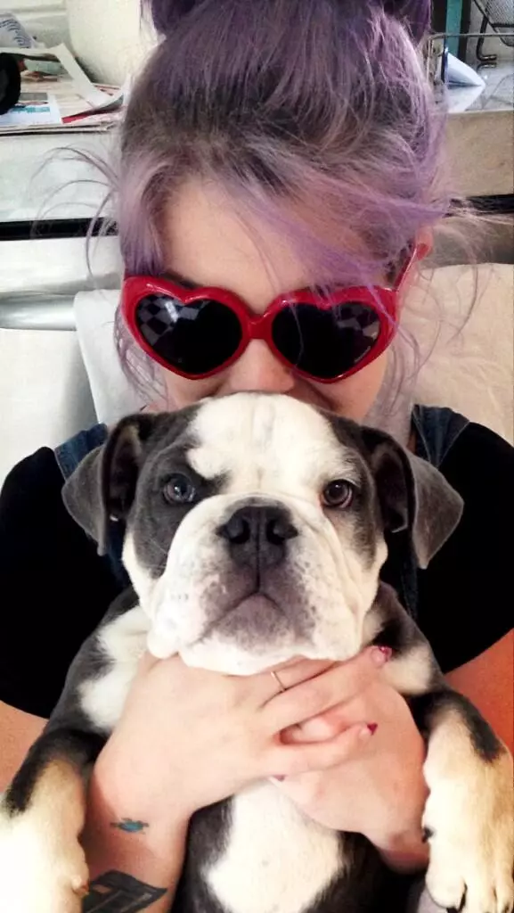 Stars auf Twitter: Nina Dobrev ist bereit, abzuheben, und Ashley Tisdale hilft, einen Hund anzuheben 76603_4