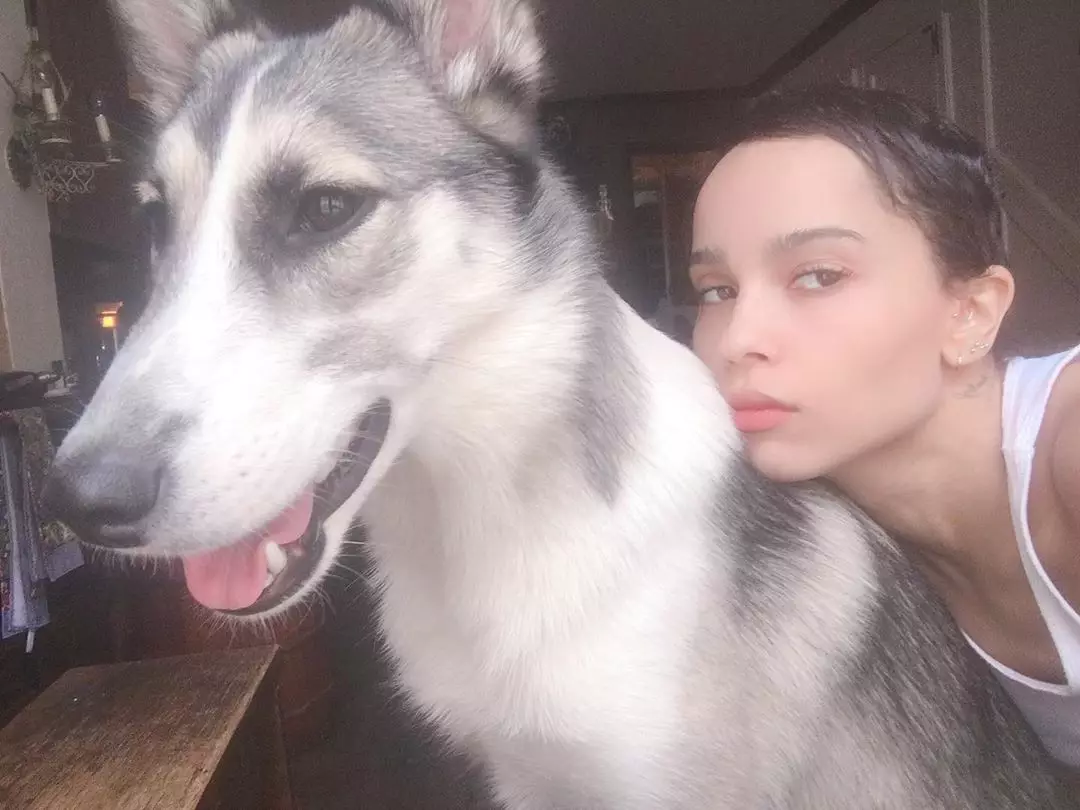 Jessica Alba Salma Hayek: tähed, kes jagavad Selfie ilma meik karantiini 84520_4
