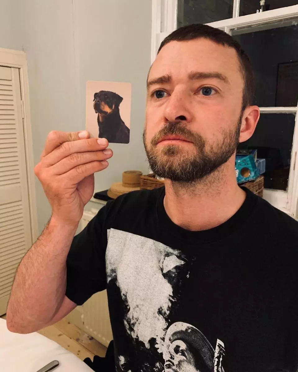 Jessica Bil et Justin Timberlake ont trouvé leurs jumelles de chien 85994_2