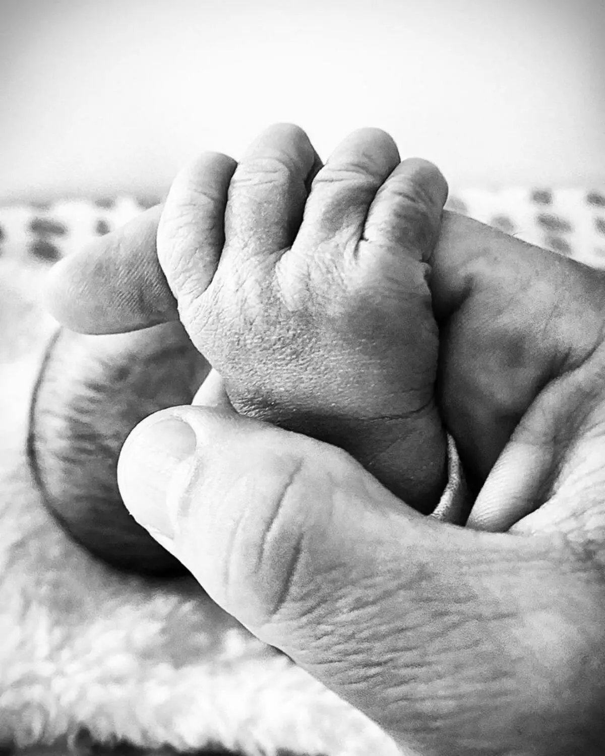 Jenna Duan第二次成为妈妈，分享了一张新生儿的照片 97575_2