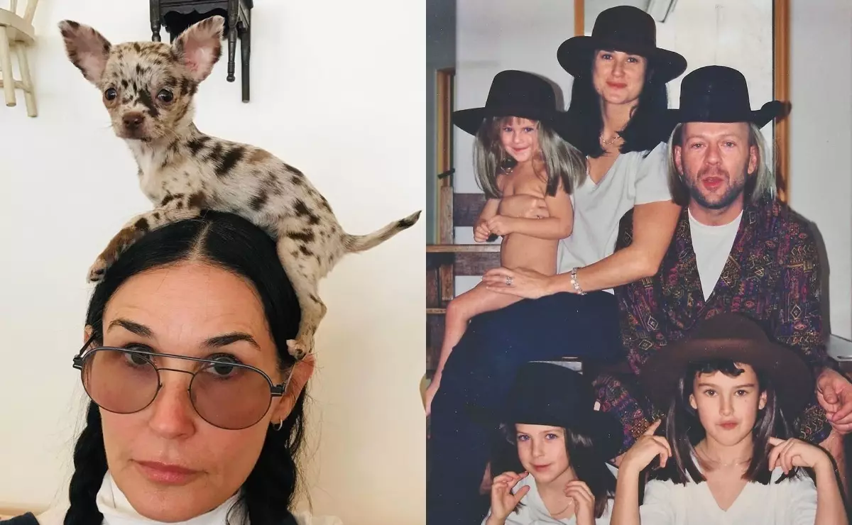 Bersenang-senang Bagaimana: Demi Moore menunjukkan foto dari Chihuahua di kepala