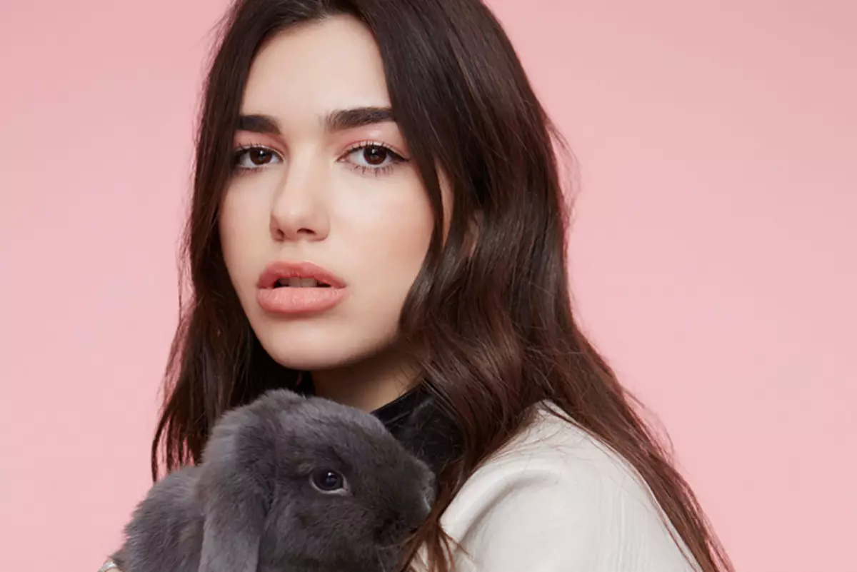 Pese Tagata Dua Lipa ua molia o ata o le ata o lana fanau